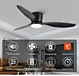 energy-saving smart ceiling fan​